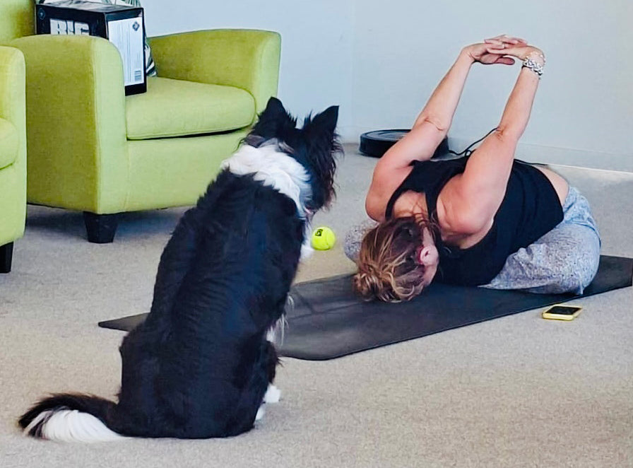 Private Practice for Renewal & Realignment